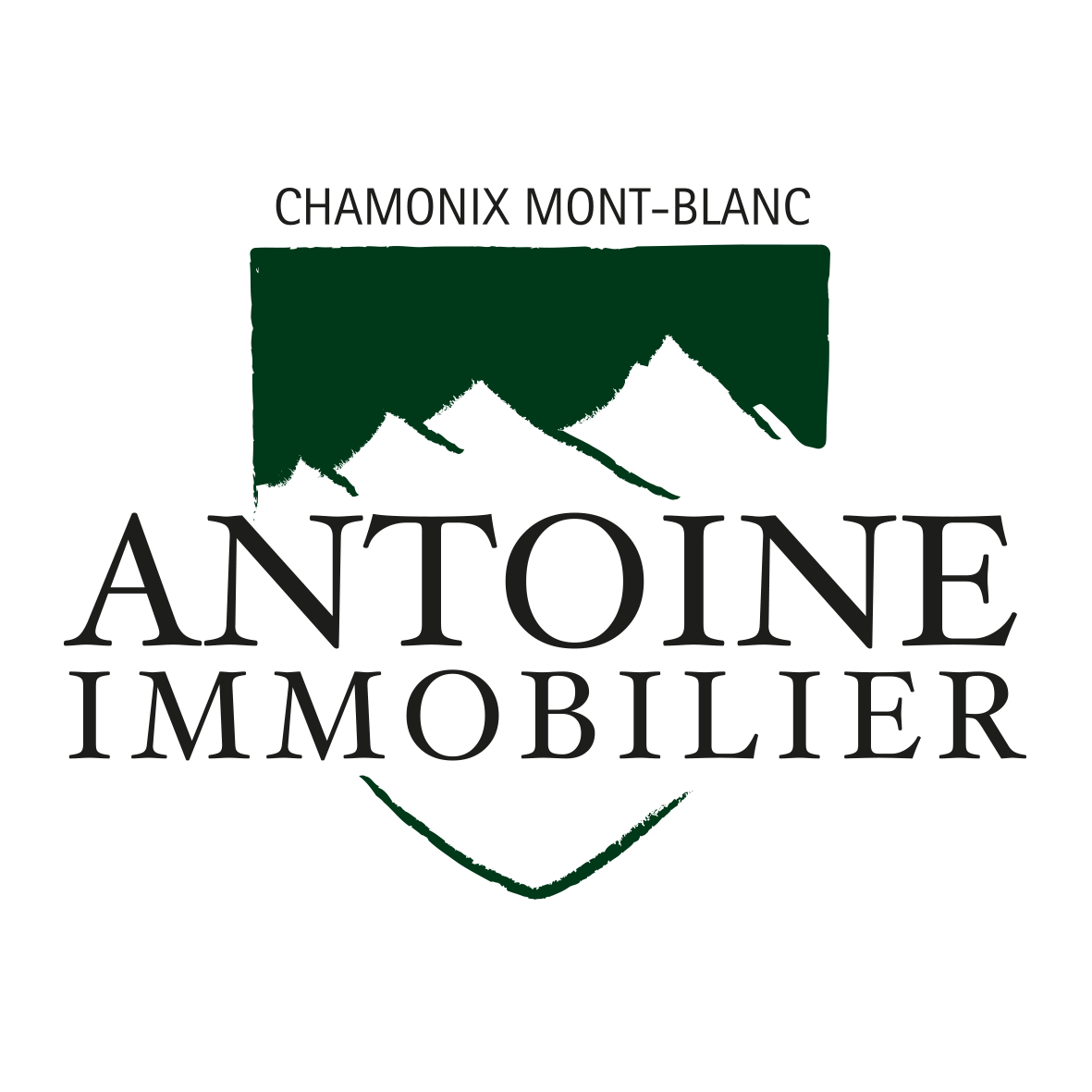 Antoine Immobilier