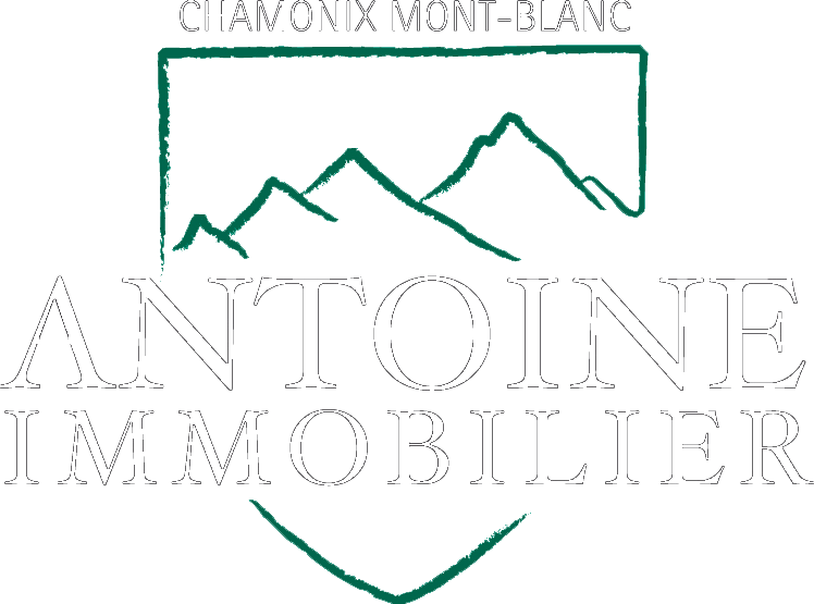 Antoine Immobilier