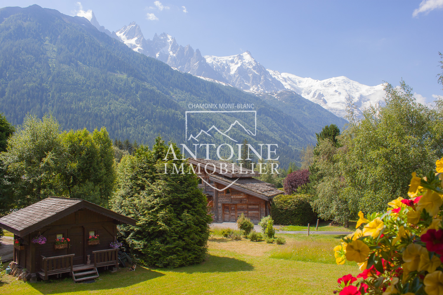 Vue panoramique des Drus, la chaine du Mont Blanc et les Aiguilles Rouges Vue panoramique des Drus, la chaine du Mont Blanc et les Aiguilles Rouges