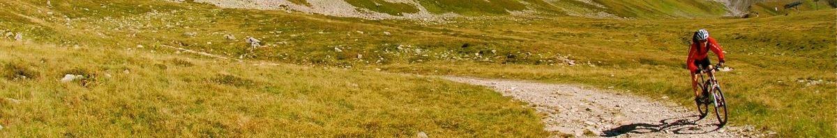  Acheter Propriété Aux Houches