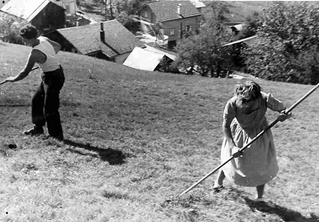 Pente au-dessus des chalets de Chamonix en travaux de printemps